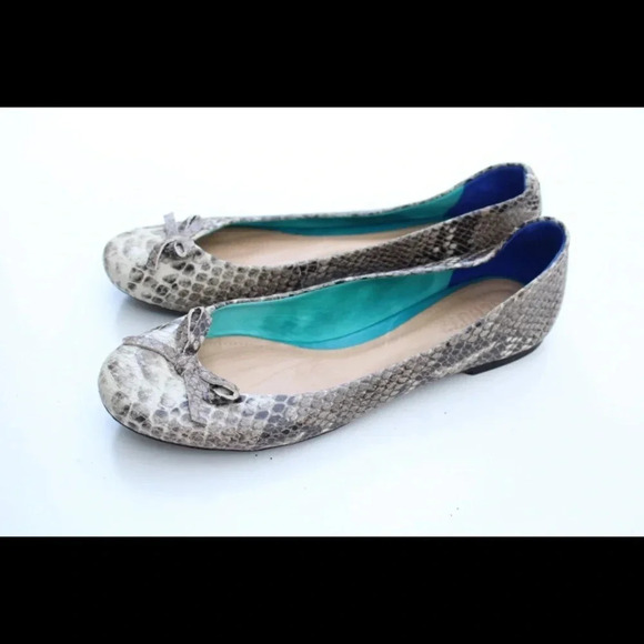 SCHUTZ flats - Picture 10 of 11